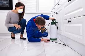 Best Real Estate Pest Inspections  in Silverdale, WA